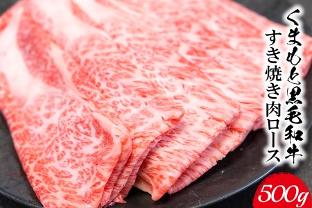 くまもと黒毛和牛 すき焼き肉 ロース切り落とし500g 《60日以内に出荷予定(土日祝除く)》 熊本県 長洲町 くまもと黒毛和牛 黒毛和牛 牛肉 肉 すき焼き 株式会社 羽根(出荷元：株式会社酒湊) 