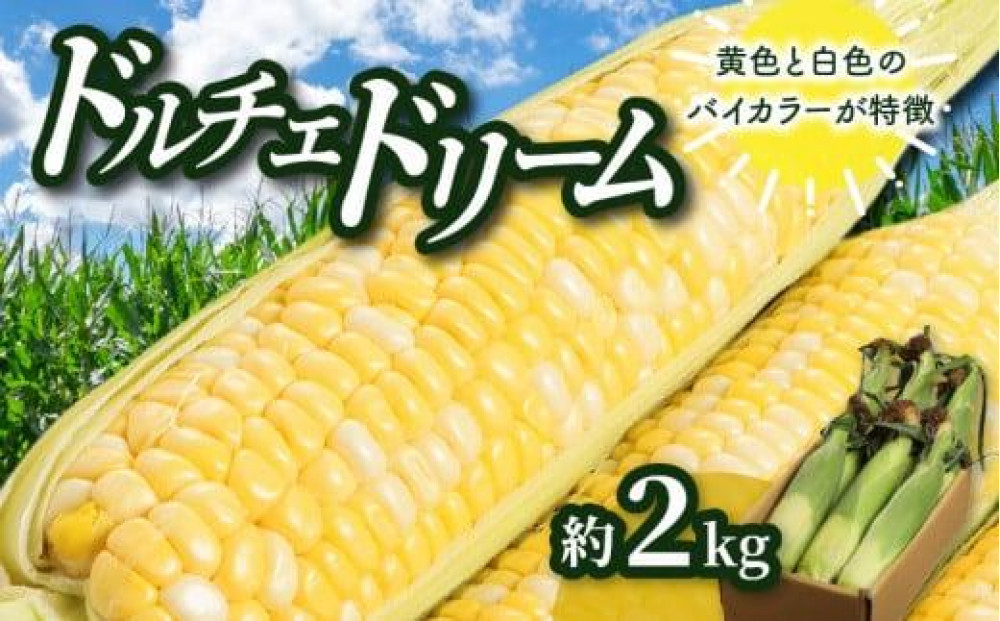 ドルチェドリーム 約2kg(高松市)【2027-6月上旬～2027-7月上旬配送】 372013_T006-205J