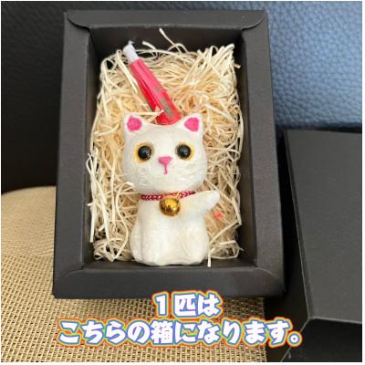 ふるさと納税 東秩父村 笠山猫(かさやまねこ)(2)ともにゃん