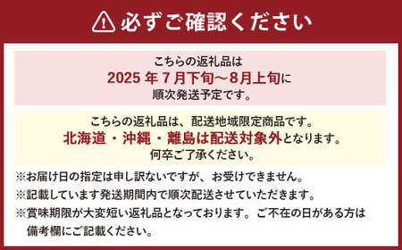 詰合 ／ 白桃 （1玉220g以上） 2玉 ・ ニューピオーネ （1房480g以上） 2房 化粧箱入り【2025年7月下旬～8月上旬発送予定】 ／ 桃 もも 葡萄 ぶどう 果物 果実 フルーツ 旬 詰