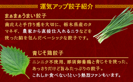 宇都宮餃子 運気アップ餃子  那須御養鶏の餃子 18個 保存料不使用【 餃子 ぎょうざ 冷凍餃子 冷凍食品 惣菜 栃木県 宇都宮市 】※配送不可地域：離島