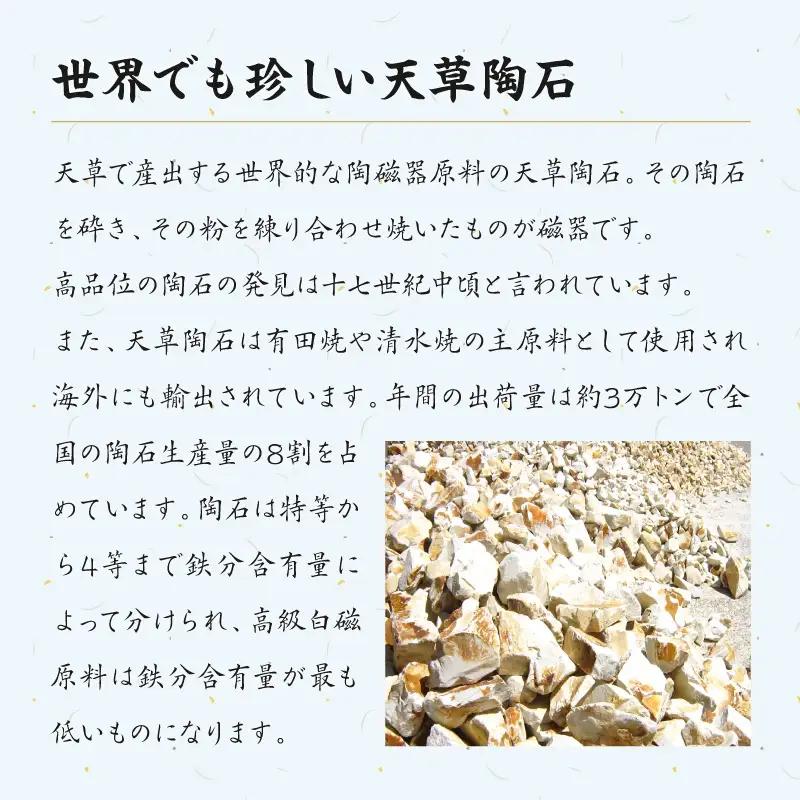 S026-186_【緑】海松紋一人暮らし食器4点セット