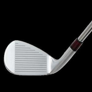 Rex&Regina FORGED IRON GW Fujikura MCI50 フレックスR