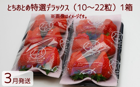 【3月発送】とちおとめ特選デラックス（10～22粒）1箱