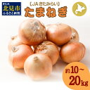 【ふるさと納税】【予約：2024年10月上旬から順次発送】北海道 JAきたみらい「たまねぎ」10kg 20kg ( 期間限定 野菜 玉ねぎ 玉葱 )