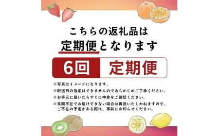 旬のフルーツ定期便 6回 フルーツ 定期便