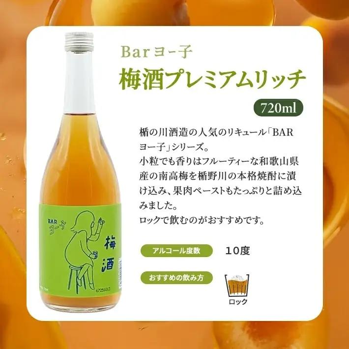 SB0899　酒田の酒屋厳選　楯の川 BARヨー子 梅酒プレミアムリッチ　720ml×2本