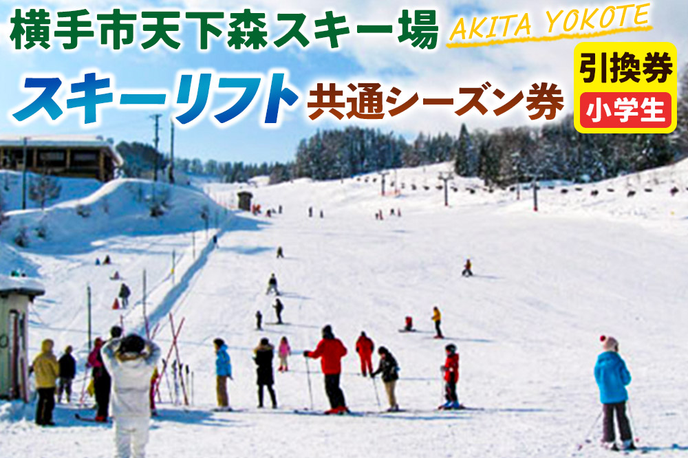 横手市天下森スキー場 スキーリフト共通シーズン券（小学生）引換券 ゆうパケット [スキー場 リフト券 秋田県 横手市 ゲレンデ]
