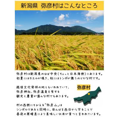 ふるさと納税 弥彦村 新潟県弥彦村石井農園　令和7年産 こしいぶき【玄米 5kg】 |  | 03
