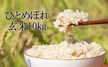 【令和7年産】 新米 10月中旬発送開始予定 ひとめぼれ 玄米 10kg ／ かきのうえ こめ 米 コメ お米 おこめ ご飯 ごはん げんまい おにぎり お弁当 仕送り お取り寄せ 産地直送 単一原料米 国産 国産米 東北 岩手県産 八幡平市産 おすすめ