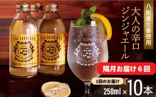 
【隔月お届け6回】八街生姜ジンジャーエール（ 250ml × 10本 × 6回 ） ジンジャーエール 生姜 八街 定期便 ジュース ジンジャー 瓶 ビン セット
