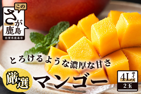 D-125 厳選！濃厚完熟マンゴー 4Lサイズ（糖度15度以上）【2024年5月中旬頃から6月初旬発送】
