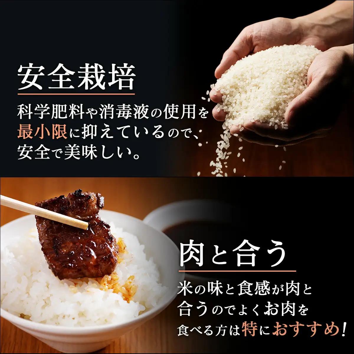 ＜先行予約＞ 清流野根川米（ コシヒカリ ）10kg！ 令和8年度産  東洋町産 国産 白米 精米 米 コメ こめ もっちり 四国 お取り寄せ 家庭用 自宅用 贈答用 贈り物 ギフト 送料無料 U11