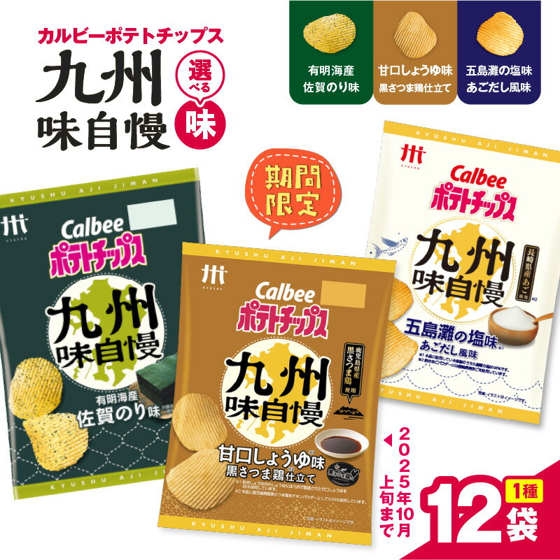 【ふるさと納税】＜選べる＞ カルビー ポテトチップス 九州味自慢 五島灘の塩味あごだし風味 有明海産佐賀のり味 甘口しょうゆ味黒さつま鶏仕立て ポテチ チップス 九州 沖縄 限定 Calbee セイカ食品 鹿児島 おすすめ ランキング プレゼント ギフト