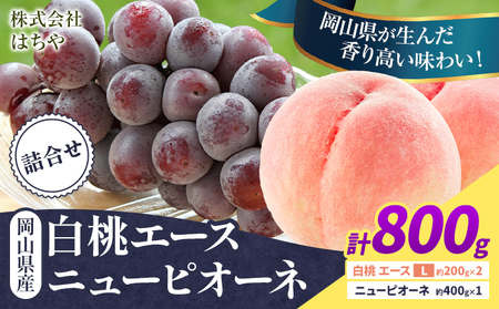 【先行予約】岡山県産 岡山白桃 エース ニューピオーネ 計 800g 詰合せ 株式会社 はちや《7月上旬‐8月下旬頃出荷》【配送不可地域あり】