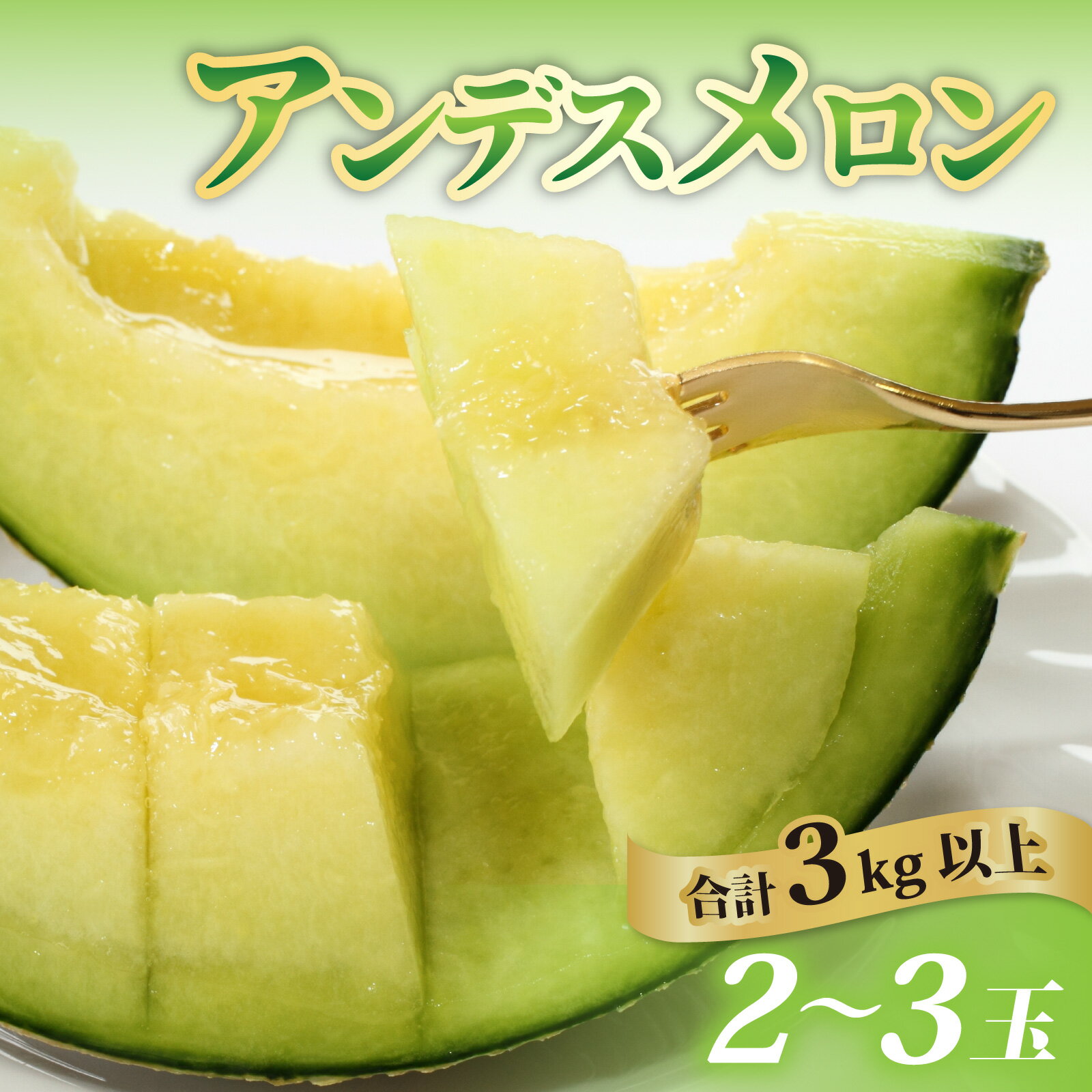 【ふるさと納税】【訳あり】立体栽培の甘味凝縮アンデスメロン「2025年6月中旬より順次発送」 [A-180001] 【福井市三里浜砂丘地産】 / メロン アンデス めろん フルーツ 果肉 スイーツ 旬 福井 ふくい