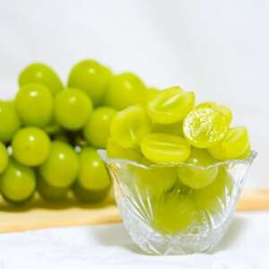 【2026年先行予約】【訳あり】NISSHOKU FARM ご家庭用シャインマスカット 約1.0kg【1706910】