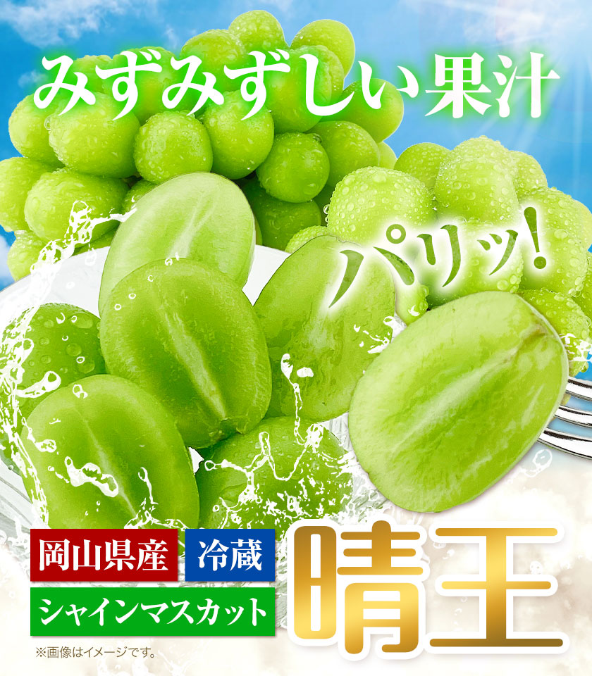 ぶどう [2024年先行予約] シャインマスカット 晴王 岡山県産 2房 約1.1kg《9月上旬-11月上旬頃出荷(土日祝除く)》 ハレノフルーツ マスカット 送料無料 岡山県 浅口市 フルーツ 果物