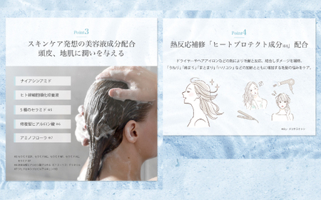 6回 定期便 サロン・ド・オーデ ハイドロリペア シャンプー ＆ トリートメント 各 500ml 2本 セット 合計 12本 ダメージ補修 ボトル 液体 アロインス製薬 美容 美容品 化粧品 日用品 