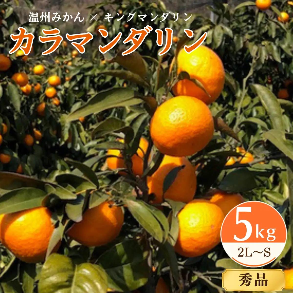 みかん【先行受付】カラマンダリン 5kg 秀 2L～S