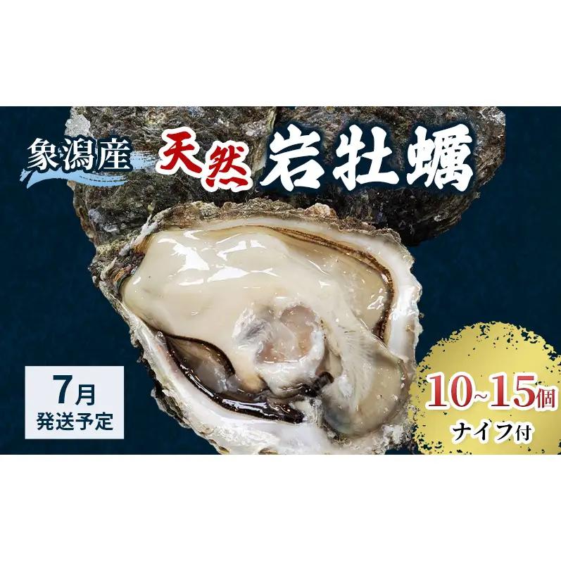 【 先行予約 7月上旬～下旬発送予定】象潟産 天然岩牡蠣 10～15個 ナイフ付【 牡蠣 夏牡蠣 かき 象潟 生食可 魚介類 海鮮 海産物 海の幸 】