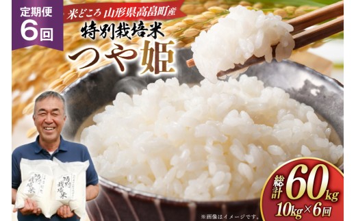 米 定期便 6回 令和8年 つや姫 10kg 6回 計60kg [渡部ファーム 山形県 高畠町 tk06ays810040] お米 白米 精米 ごはん ご飯 ブランド米