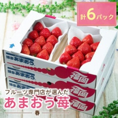 福岡産【春】あまおういちご約250g×6パック(岡垣町)