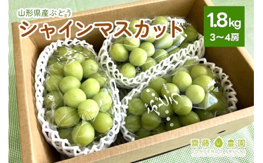 ぶどう（シャインマスカット）３～４房　合計１.８ｋｇ　0037-2604