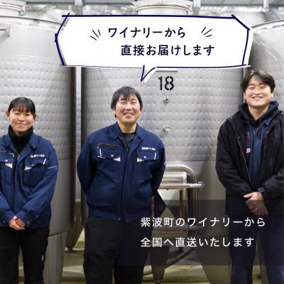 ふるさと納税 紫波町 紫波マスカットベーリーA[甘口] |  | 03