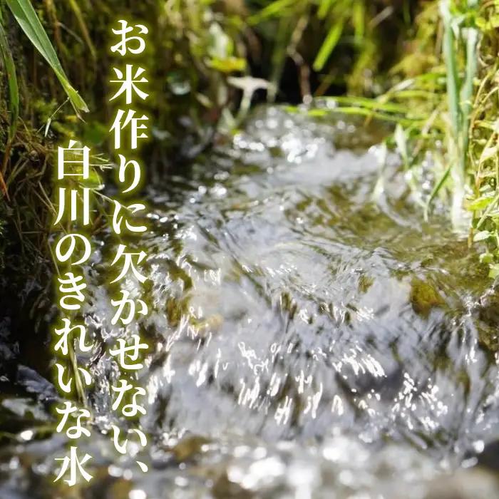 令和7年産 コシヒカリ 米 5kg 白米 精米 東白川村産 岐阜県 お米 こめ 精米 ご飯 米 おにぎり
