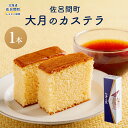 【ふるさと納税】 佐呂間町 大月のカステラ 【 ふるさと納税 人気 おすすめ ランキング 菓子 焼菓子 カステラ かすてら デザート 贈答 ギフト 自宅用 家庭用 北海道 佐呂間町 送料無料 】 SRMJ129