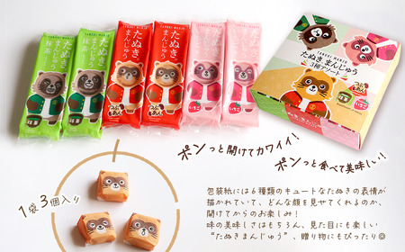 西条銘菓「たぬきまんじゅう」3種アソート18個入　つぶあん いちご 抹茶 和菓子