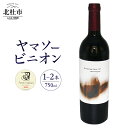 【ふるさと納税】 ワイン 赤ワイン 750ml 選べる本数 1本 2本 ヤマソービニオン 山ぶどう種 カベルネソーヴィニヨン種 交配 ブドウ 深みある味わい 義見農園 ワインショップヨシミ 山梨県 北杜市 送料無料