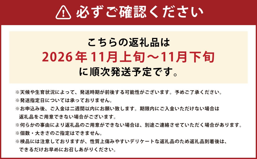 白鷹町産ラ・フランス5kg