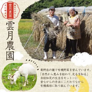 y174 ＜栽培期間中農薬化学肥料不使用＞鹿児島県産玄米(2kg) 国産 九州産 玄米 お米 米 おこめ 2kg 安全 安心 健康【雲月農園】