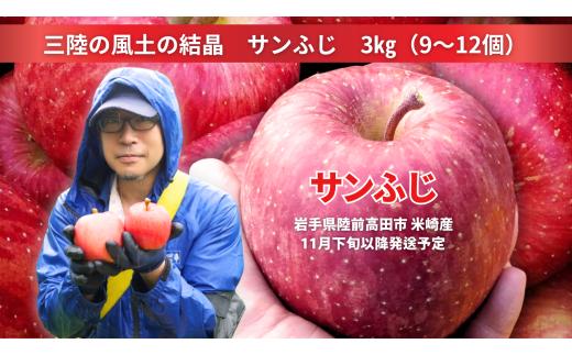 【先行予約】 三陸の風土の結晶 イドバダアップルのサンふじ 3kg 【 ふじ リンゴ 果物 フルーツ 旬 お届け 岩手 陸前高田 】 RT2060
