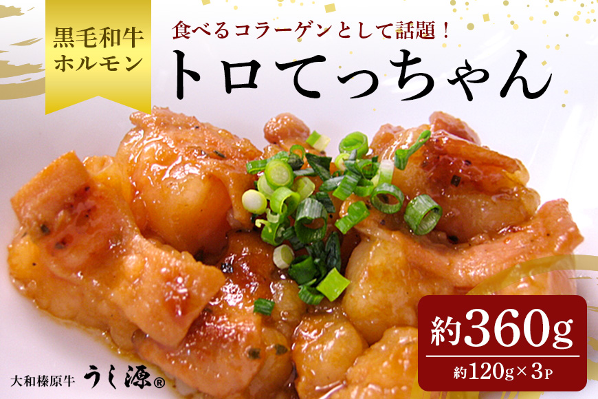 (冷凍)　国産　黒毛和牛　味付　トロてっちゃん　120g×3パック／うし源本店 ホルモン バーベキュー キャンプ アウトドア 父の日 奈良県 宇陀市 お中元 贈答用 贈り物 暑中見舞い お土産
