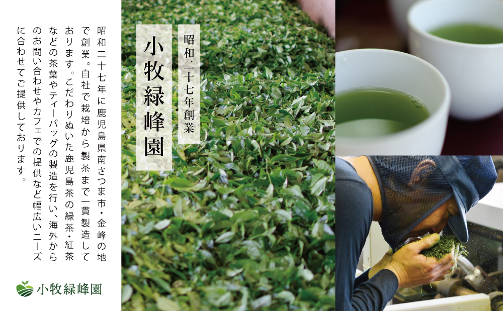 【日本茶AWARD受賞】高級深蒸し茶「さえみどり」 3本セット