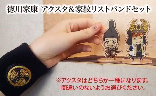 【家康といつも一緒】徳川家康 アクスタ（しかみ像）＆家紋リストバンドセット｜戦国武将 家康 アクリルスタンド リストバンド オリジナルキャラクター 歴史 戦国時代 プレゼント ギフト
