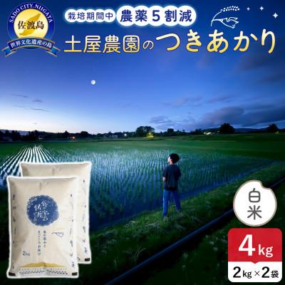 ふるさと納税 佐渡市 【新米】令和8年産 佐渡島産つきあかり 白米4kg 土屋農園 農家直送 栽培期間中農薬5割減