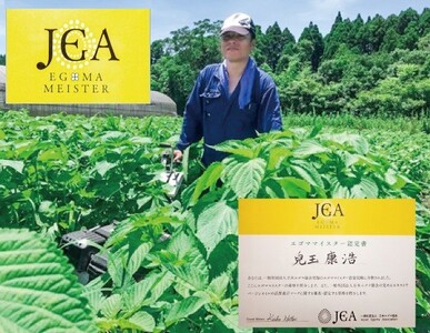 国産　生えごま油（110g×1本）遮光瓶タイプ＜1-146＞