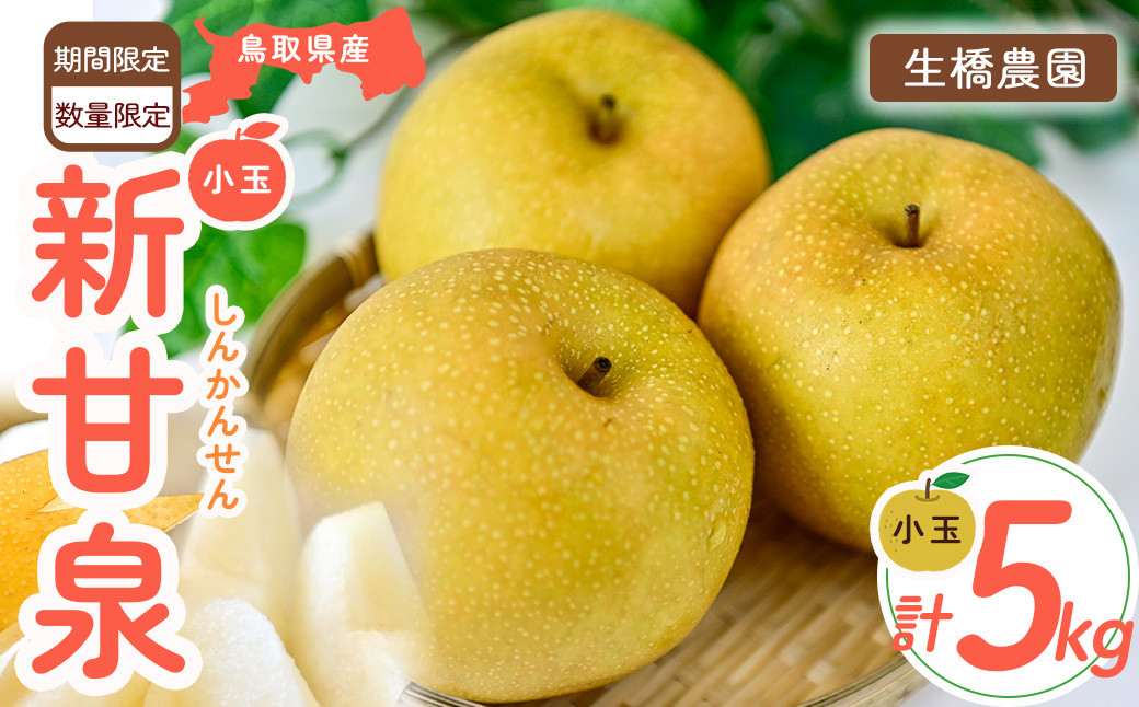 
                  新甘泉【鳥取県産】（小玉）5kg（生橋農園） 鳥取 梨 5kg 果物 フルーツ 和梨 先行予約 数量限定 新甘泉 詰め合わせ 新品種
                