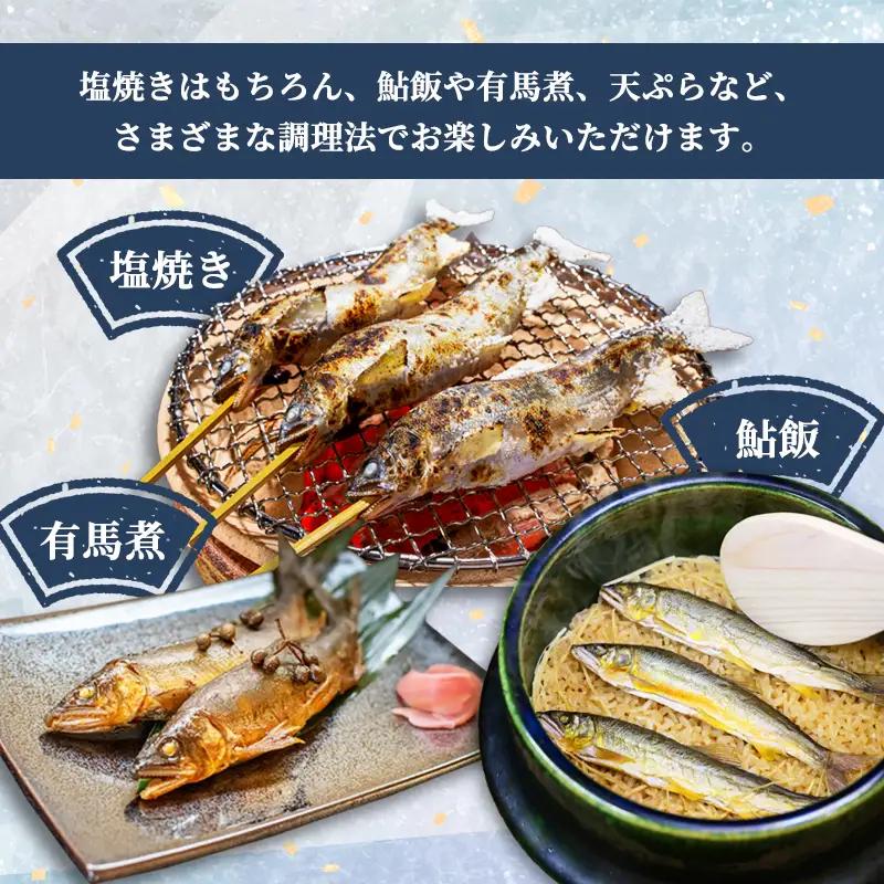 【2026年夏発送】 天然鮎 網獲り 約2kg（約30匹～44匹） 配送不可：北海道、東北、九州、沖縄、離島