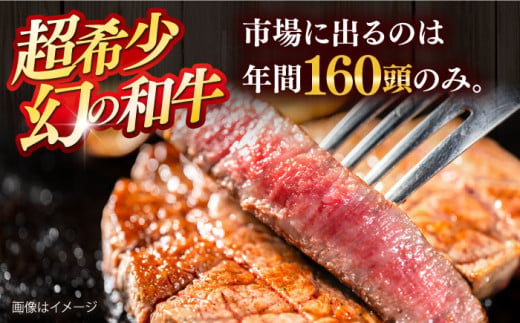 【数量限定20セット】サーロインステーキ計約500g（約250g×2枚）  ステーキ すてーき ステーキ肉 すてーき肉 牛肉 国産 ブランド 絶品 高級 極上 人気 おすすめ オススメ 葉山牛 厚切り