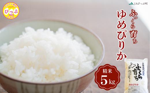 令和7年産 新米 ゆめぴりか 精米 5kg【JAぴっぷ町】米 お米 北海道産 北海道米 特Aランク 国産 白米 コメ 北海道 比布町 ぴっぷ 1001-005