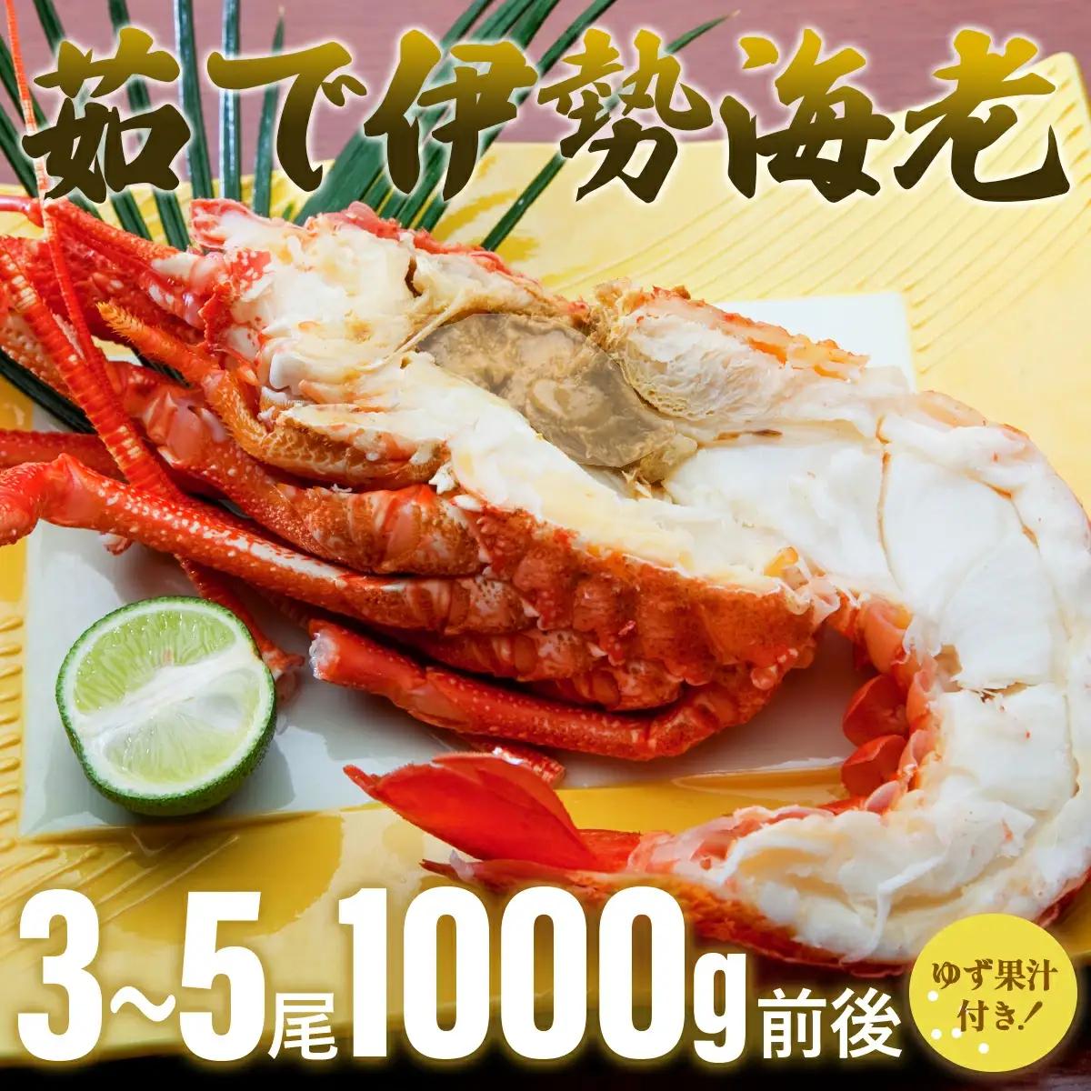 伊勢海老ボイル＜1,000g前後＞ S171 【株式会社森海家】