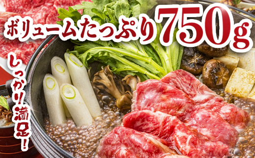 宮崎県産 黒毛和牛 バラ・モモ切り落とし 約750g×1P 冷凍|国産牛 牛肉 お肉 切り落とし スライス バラ モモ パック 化粧箱入り 焼肉 塩 わさび醤油 ポン酢 有田牧畜産業 宮崎県 諸塚村 
