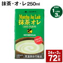 【ふるさと納税】【定期便】【1ヶ月毎3回】抹茶・オ・レ 250ml 計72本 計18L（24本×3回） 抹茶オーレ 抹茶オレ 抹茶ミルク 抹茶 乳製品 乳飲料 クロレラ 緑茶ポリフェノール 飲み物 飲料 常温保存 お取り寄せ 静岡抹茶 朝比奈 熊本県産 菊池市 送料無料