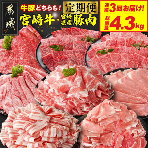 ≪3回連続お届け≫とにかくお肉大好き!宮崎牛と宮崎県産豚定期便M(総重量4.3kg)_T48-3-N201 牛肉 宮崎牛 焼肉 BBQ 食べ比べ スライス 大容量 冷凍 1kg 人気 都城市