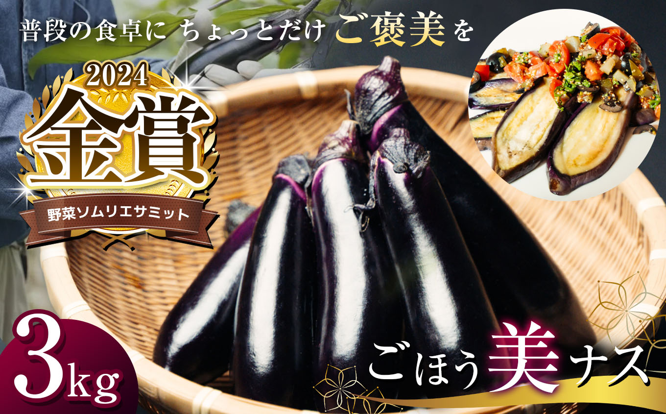 【定期便6回】野菜ソムリエサミット金賞「ごほう美ナス」 約3kg